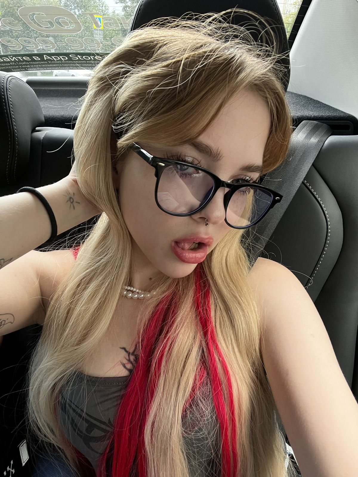 Модель Aneta