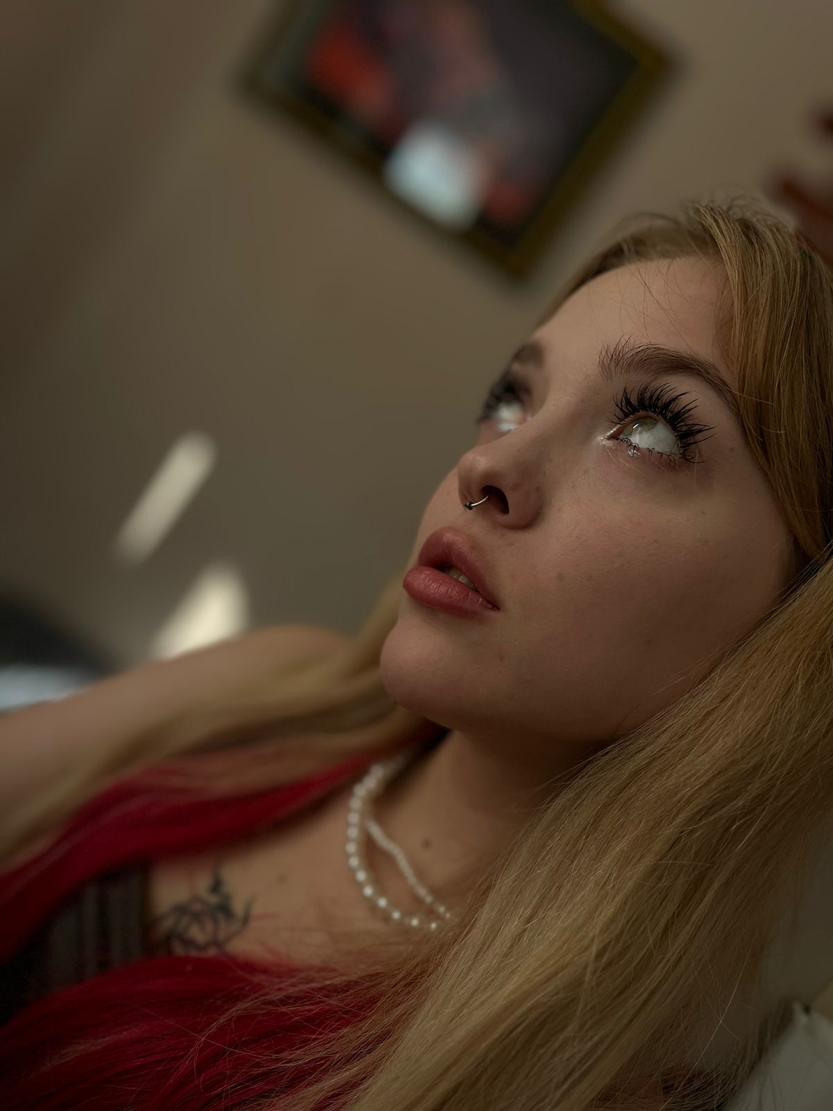 Модель Aneta
