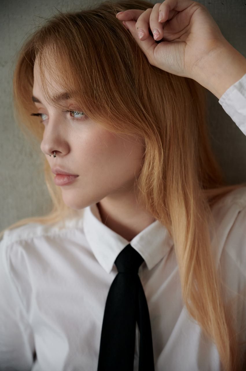 Модель Aneta