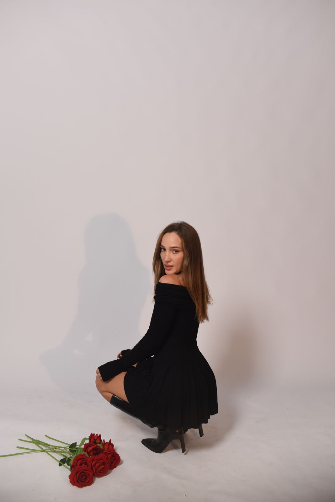 Модель Lucinda