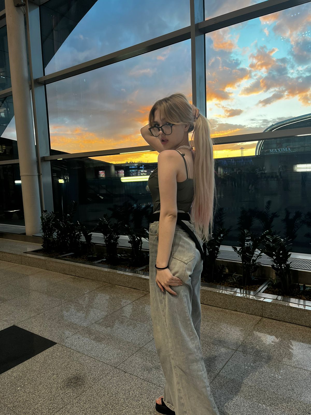 Модель Aneta