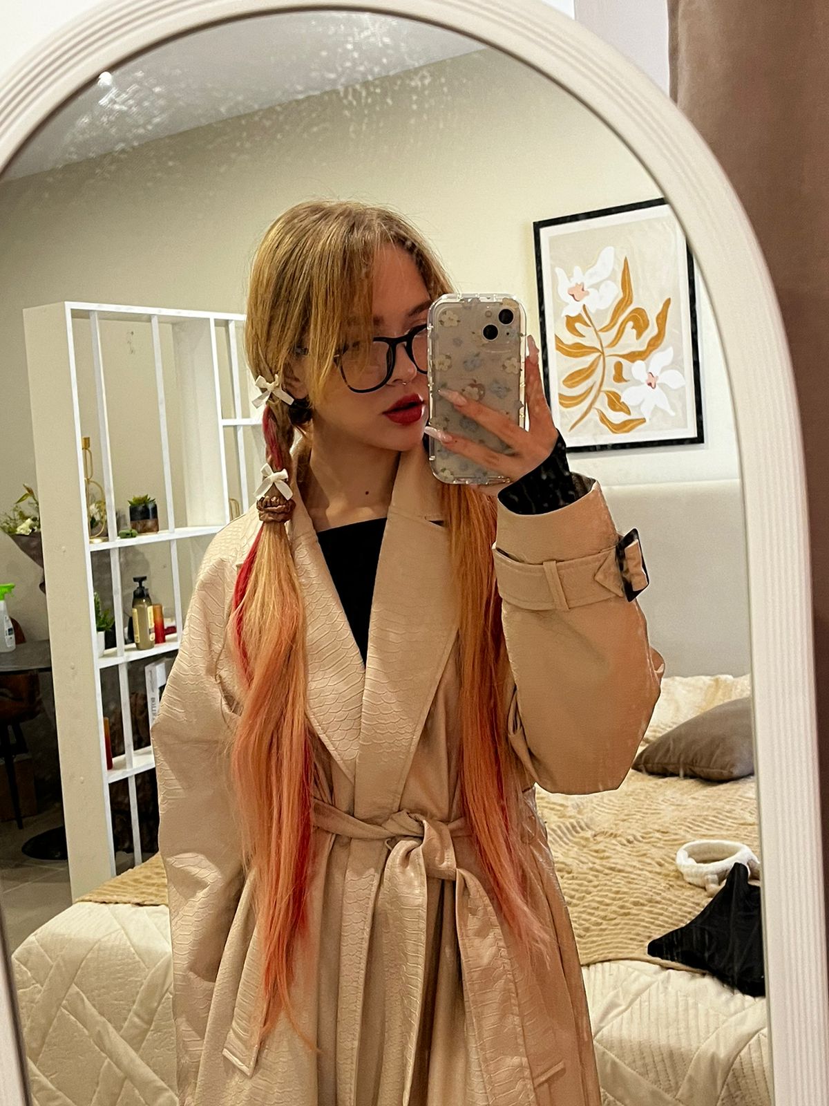 Модель Aneta
